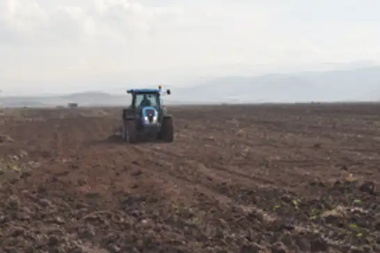 Batman'da yağışlar çiftçinin yüzünü güldürdü