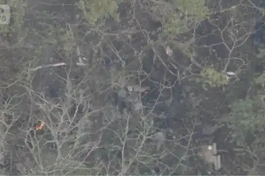 Japonya'da küçük uçak düştü: 3 ölü