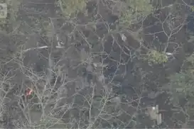 Japonya'da küçük uçak düştü: 3 ölü