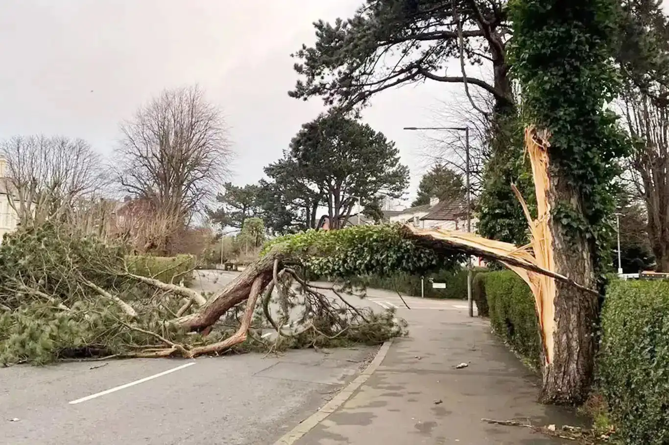 Meteoroloji'den kuvvetli rüzgâr uyarısı