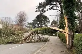 Meteoroloji'den kuvvetli rüzgâr uyarısı