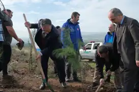 Gazze şehitleri için Bursa'da yüzlerce fidan dikildi