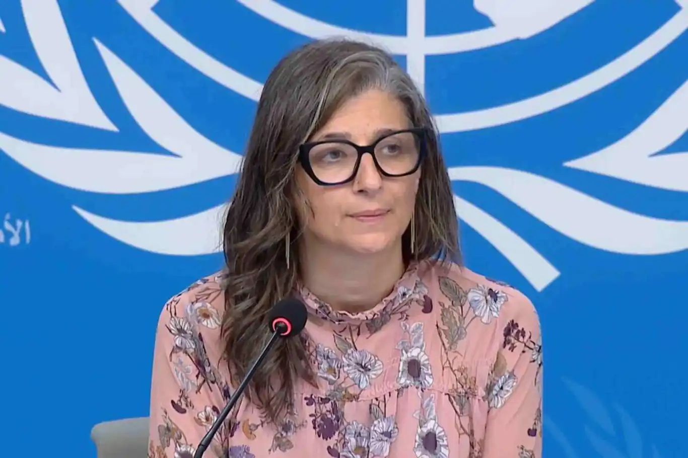 UN expert warns EU of complicity in Israeli war crimes against Palestinian people