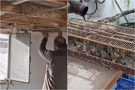 Bursa’da kaçak av operasyonu: İki şahsa 415 bin TL ceza