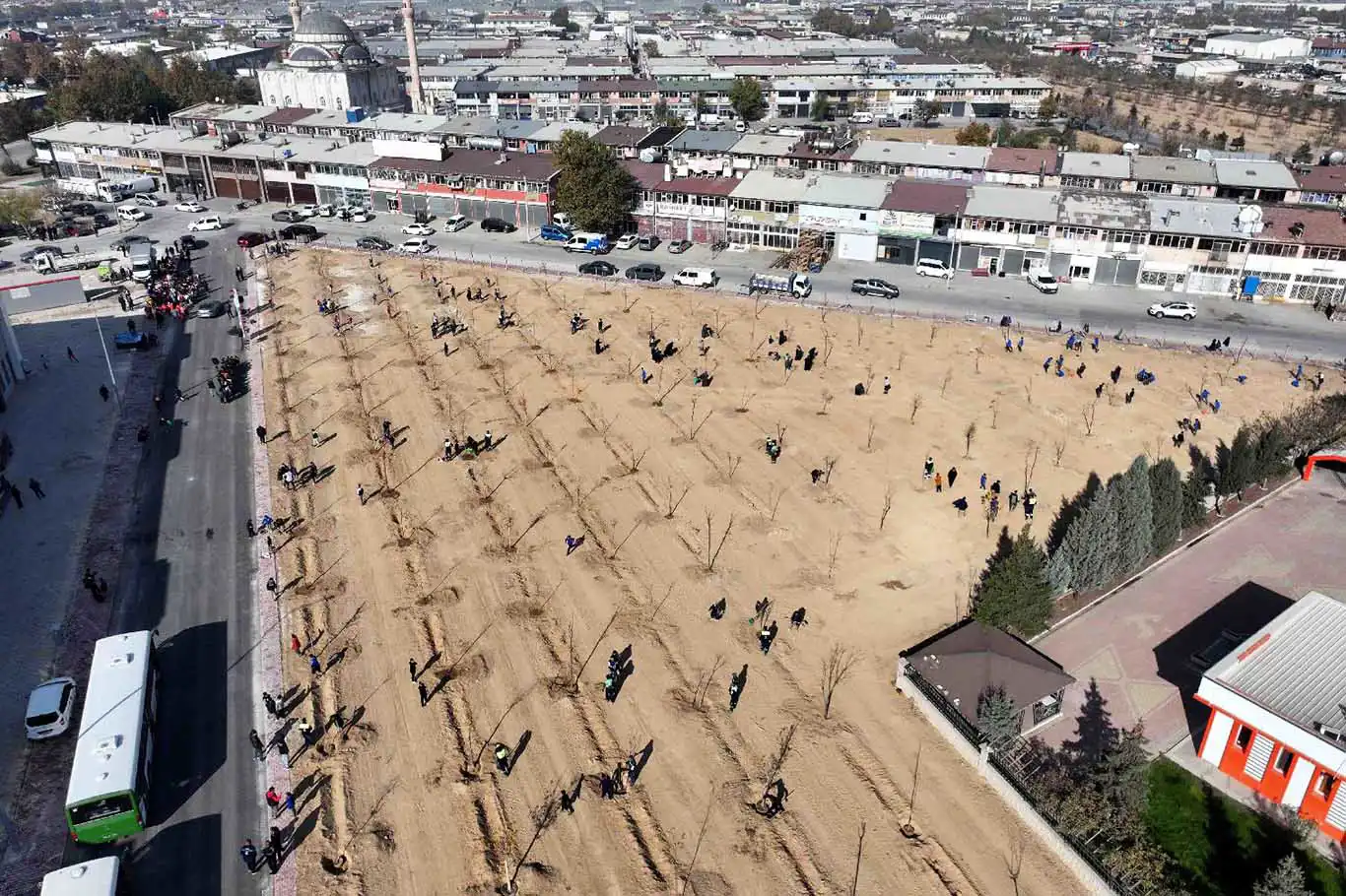 Konya'da 10 Bin 400 metrekarelik alana fidan dikildi