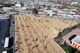 Konya'da 10 Bin 400 metrekarelik alana fidan dikildi