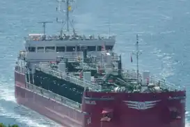 Marmara'da Rus mürettebatın bulunduğu tankerde zehirlenme: 1 ölü