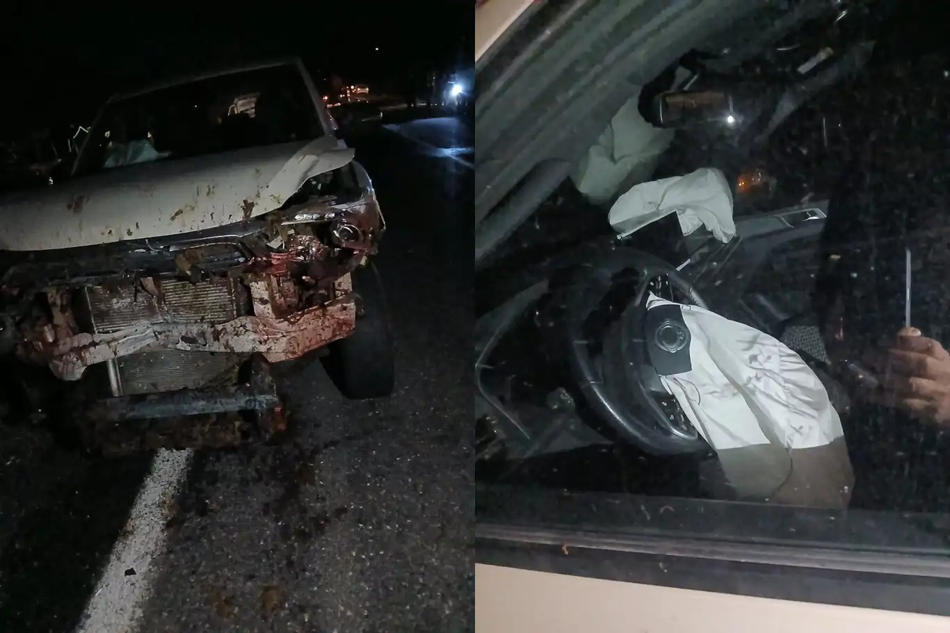 Araç koyun sürüsüne daldı 30 hayvan telef oldu