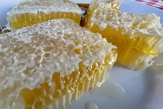 Yenice ıhlamur balı AB'den coğrafi işaret tescili aldı