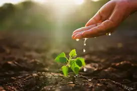 TEMA Vakfı’ndan Şanlıurfa için kritik çağrı: Toprak kaybı gıda ve iklimi tehdit ediyor