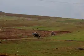 İşgalciler, Filistinlilerin arazilerine el koyuyor