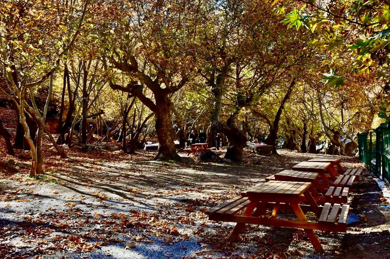 Batman'ın saklı cenneti kınalı mesire alanı, ziyaretçilerini ağırlamaya hazırlanıyor