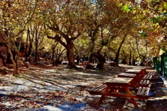 Batman'ın saklı cenneti kınalı mesire alanı, ziyaretçilerini ağırlamaya hazırlanıyor