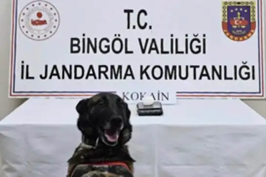 Bingöl’de yapılan asayiş uygulamalarında 18 şüpheli yakalandı