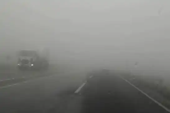 Malatya'da yoğun sis ulaşımı olumsuz etkiledi