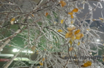 روسيا.. إعلان الإنذار البرتقالي بسبب الأمطار الجليدية