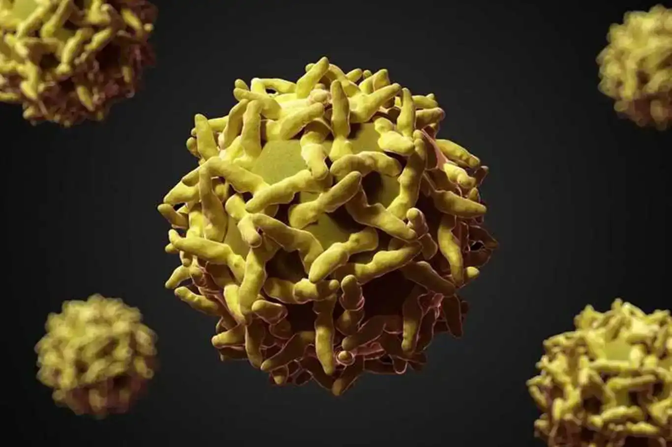 WHO: More than 20,000 suspected diphtheria cases reported across Africa since January