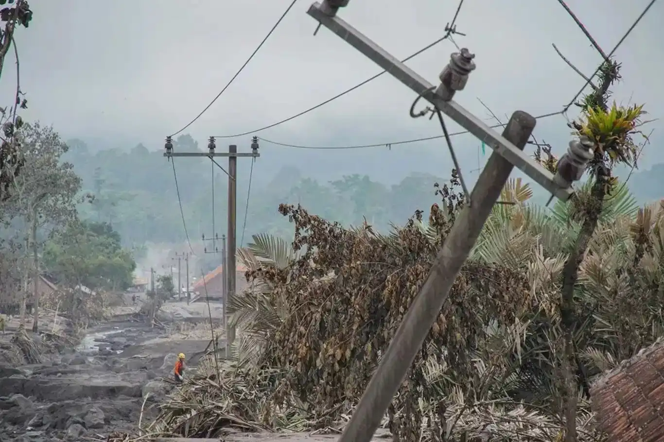  کوه سمرو در اندونزی دوباره فوران کرد