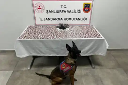 Şanlıurfa’da uyuşturucu operasyonunda sentetik ecza ve silah ele geçirildi