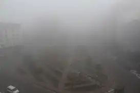 Sürüş eğitmenleri: Sisli havalarda acele etmeyin, mesafenizi koruyun