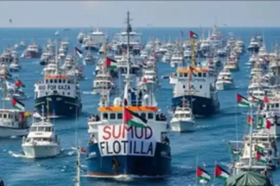 سويسرا تطالب ناشطي "أسطول الصمود" بتسديد تكاليف إعادتهم من الاعتقال الصهيوني