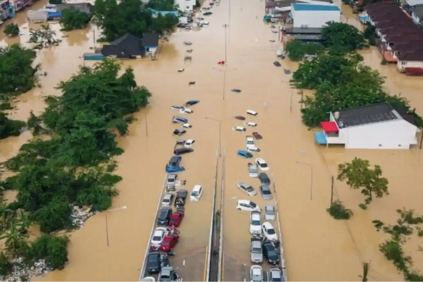 کشور تایلند شاهد شدیدترین بارش‌های ۳۰۰ سال اخیر: شمار قربانیان به ۵۵ نفر افزایش یافت