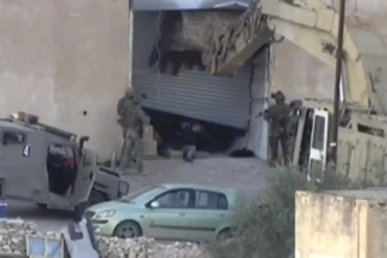 Israeli forces execute two unarmed Palestinians at point-plank range in Jenin