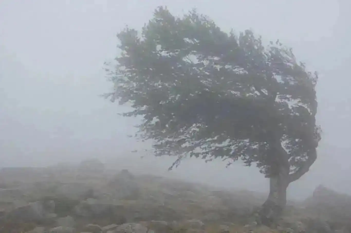 Meteoroloji 4 il için sarı kod verdi: Sağanak, dolu ve hortum ihtimali