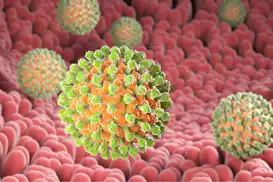 Rotavirüsten korunmanın yolları