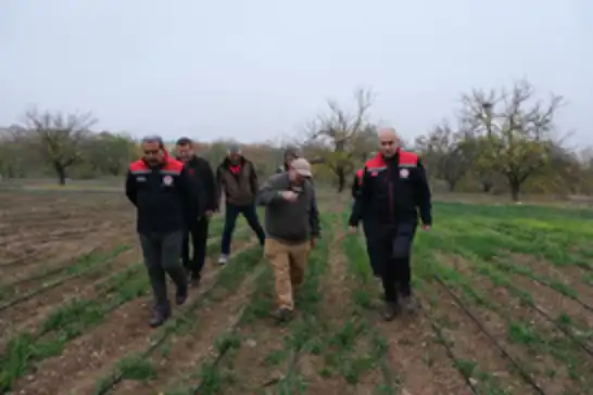 Dünya kayısı başkenti Malatya'da safran üretimi