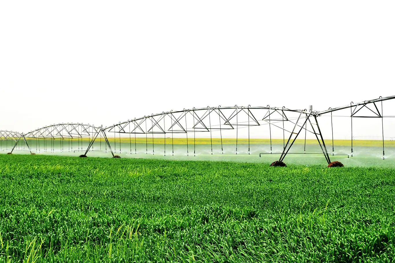 Türkiye expands modern irrigation systems to boost agricultural efficiency 