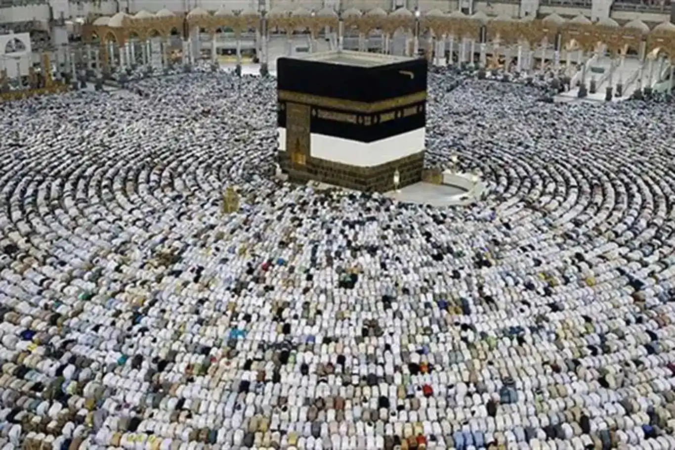 Ticaret Bakanlığı’ndan “Kurasız Hac” reklamlarına ceza