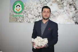 Çitçiler emeğinin karşılığını istiyor: Destek artarsa pamuk alanları büyüyecek