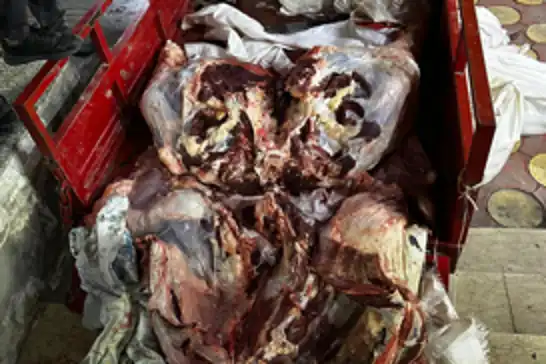 Batman'da kaçak et kesimine operasyon