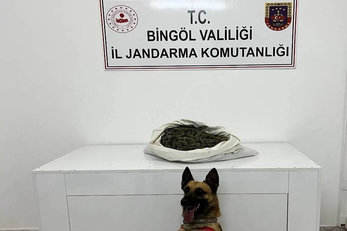 Bingöl’de durdurulan araçta 2 kişi gözaltına alındı 