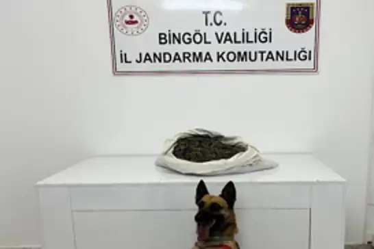 Bingöl’de durdurulan araçta 2 kişi gözaltına alındı 