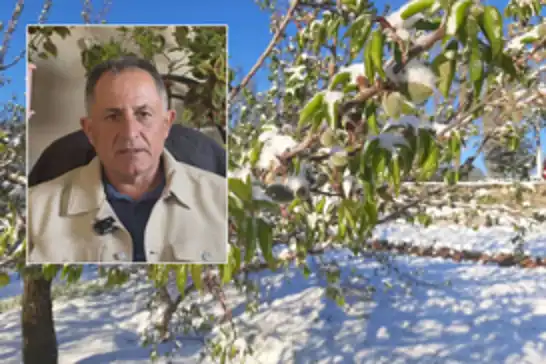 Darende'de don desteği çıkmazı: Çiftçiler ödemelerdeki karmaşaya tepkili