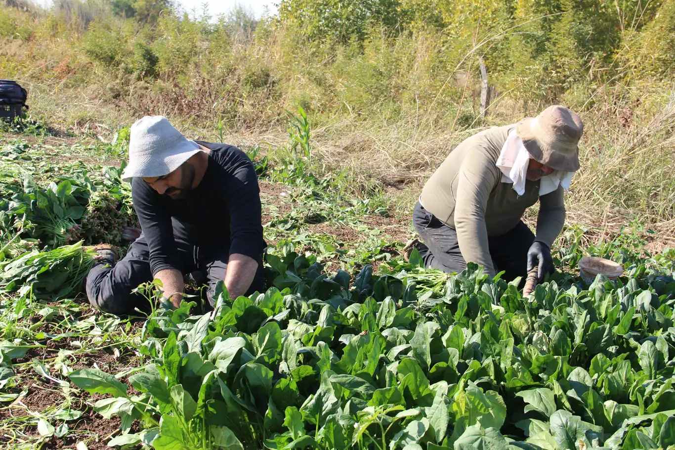 Çiftçilerden destek çağrısı: Üretiyoruz ama emeğimizin karşılığını alamıyoruz