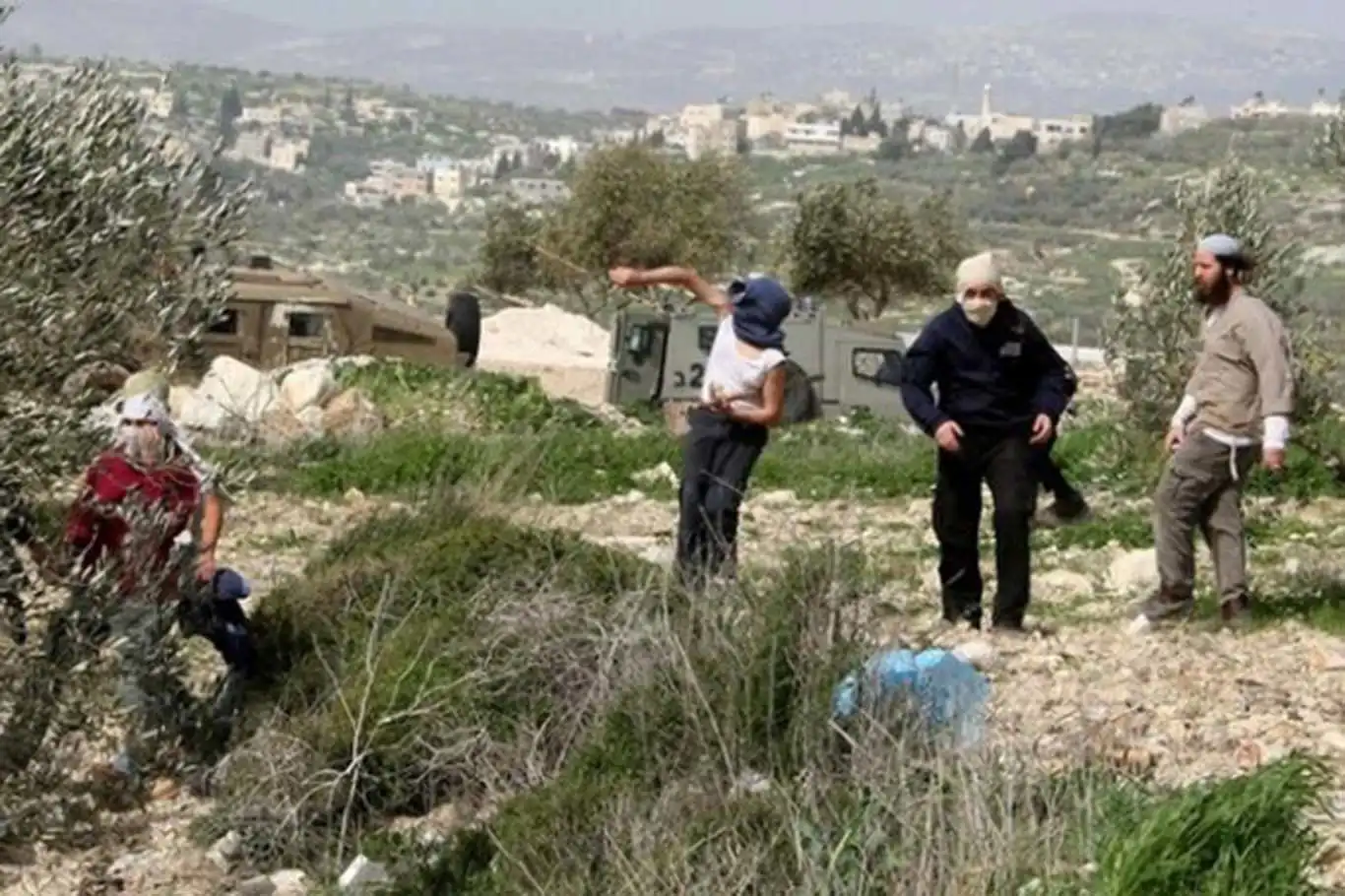 İşgalciler Ramallah'ta zeytin toplayan Filistinlilere saldırdı