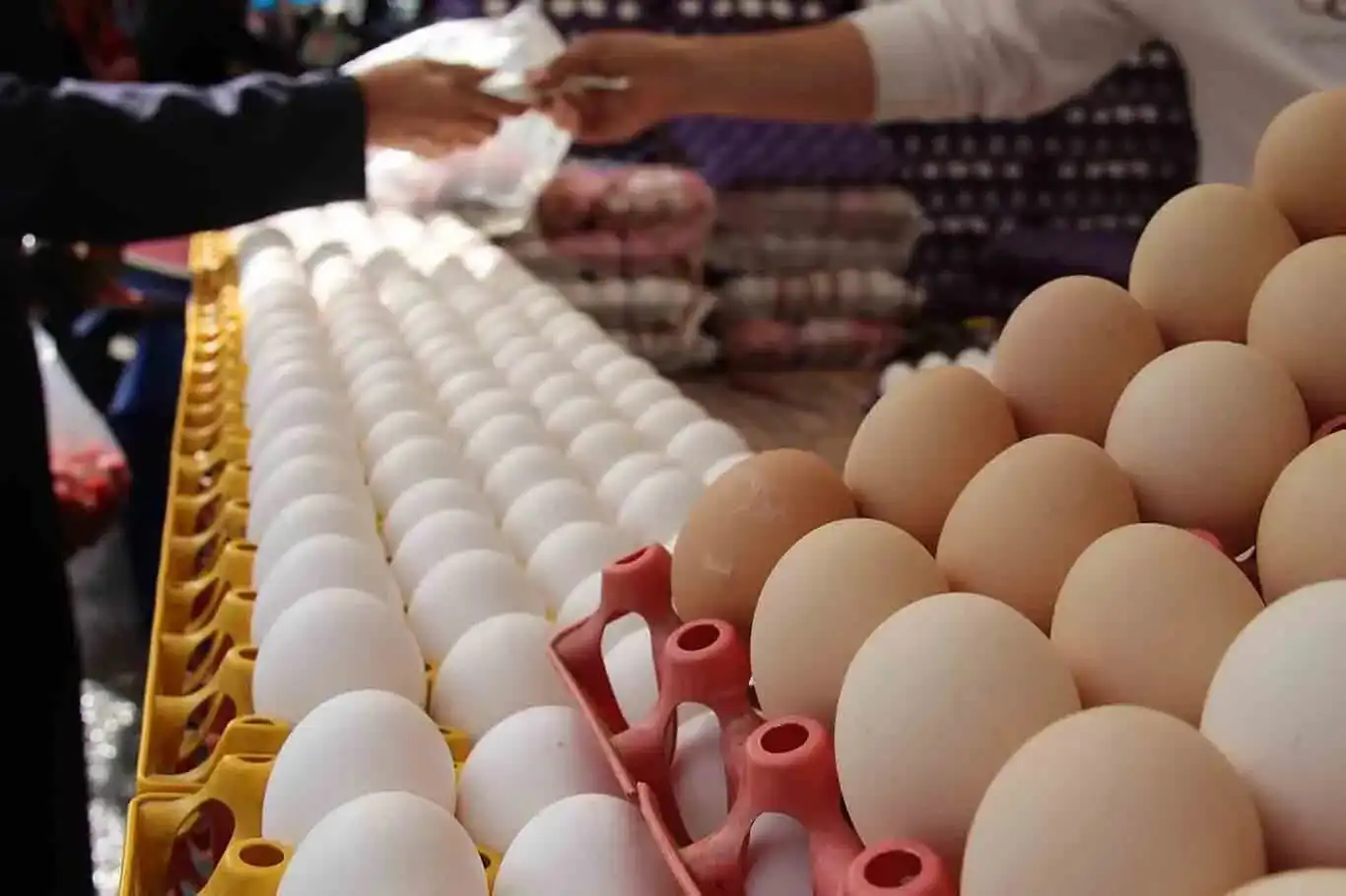 Diyarbakır'da yumurta fiyattaki istikrarını koruyor
