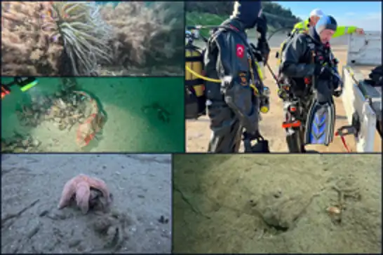 Marmara Denizi’nde hayalet ağ tehdidine karşı kapsamlı araştırma başlatıldı