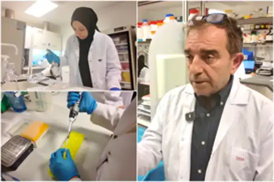 Prof. Dr. Özdarendeli: Yerli KKKA aşısının en geç 4-5 yıl içinde piyasaya çıkmasını öngörüyoruz