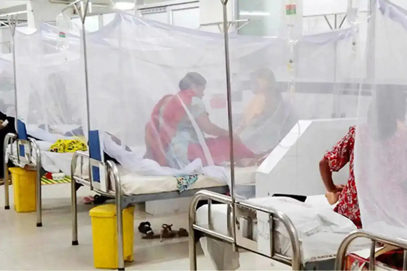 Dengue death toll in Bangladesh exceeds 400 amid rising infections