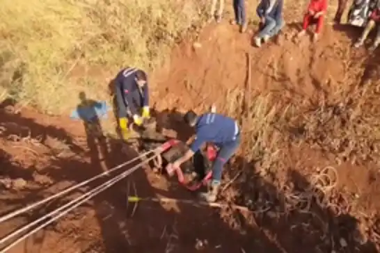 Şanlıurfa’da tahliye kanalına düşen büyükbaş hayvan kurtarıldı