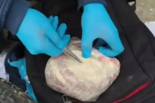 Li Erzînganê kîlokî kokaîn hat bidestxistin: 2 girtin