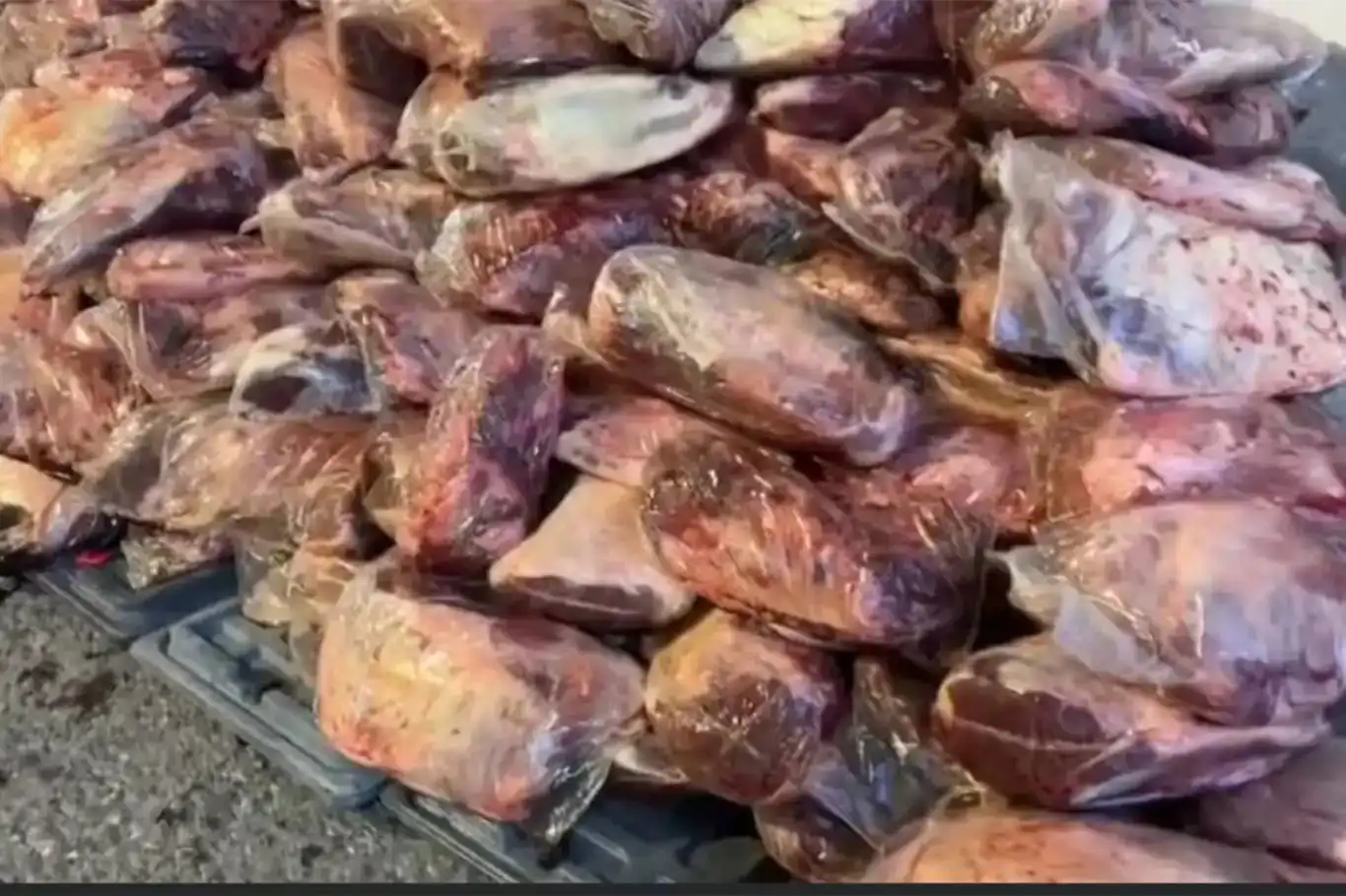 Kırşehir’de 6,1 ton kaçak ve bozulmuş et ele geçirildi: 3 gözaltı