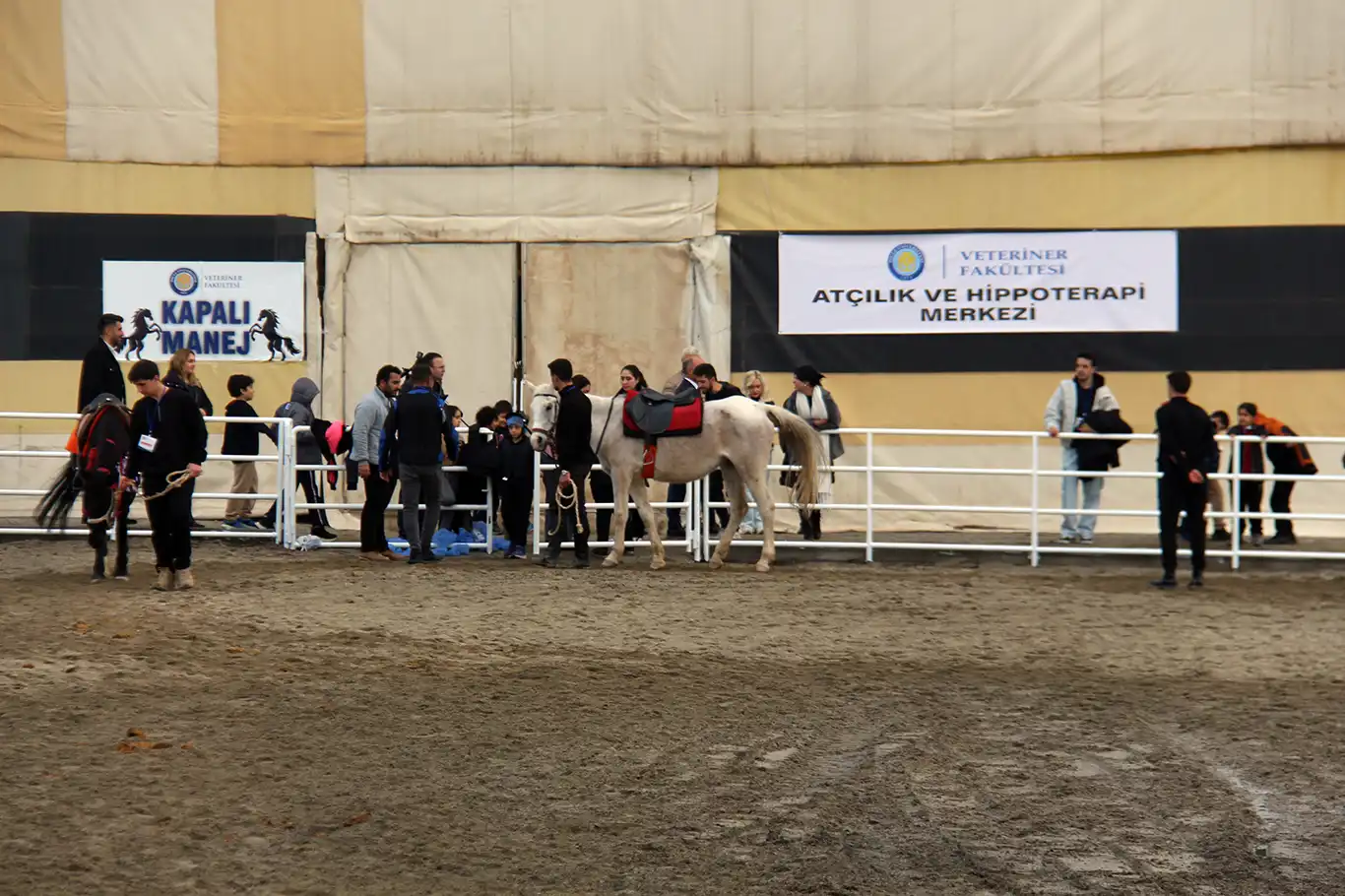 Diyarbakır’a yeni sağlık ve rehabilitasyon merkezi: Hippoterapi birimi açıldı