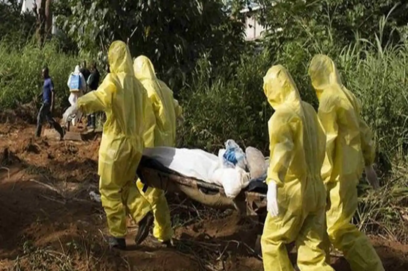 Nigeria records 17 new Lassa fever cases as death toll climbs to 185