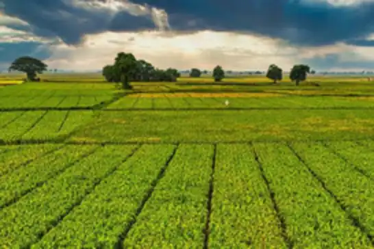 Bir milyar 46 milyon liralık tarımsal destek ödemeleri çiftçinin hesabına yatırılacak