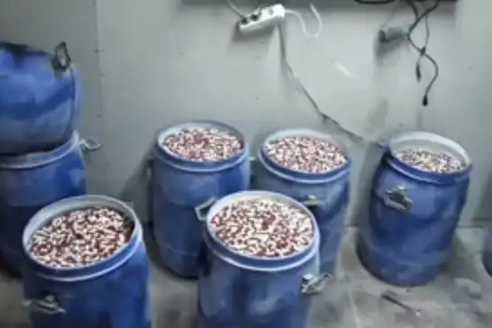 Li Stenbol û Îzmîrê operasyonên tiryakê: Bi milyonan heb hatin desteserkirin